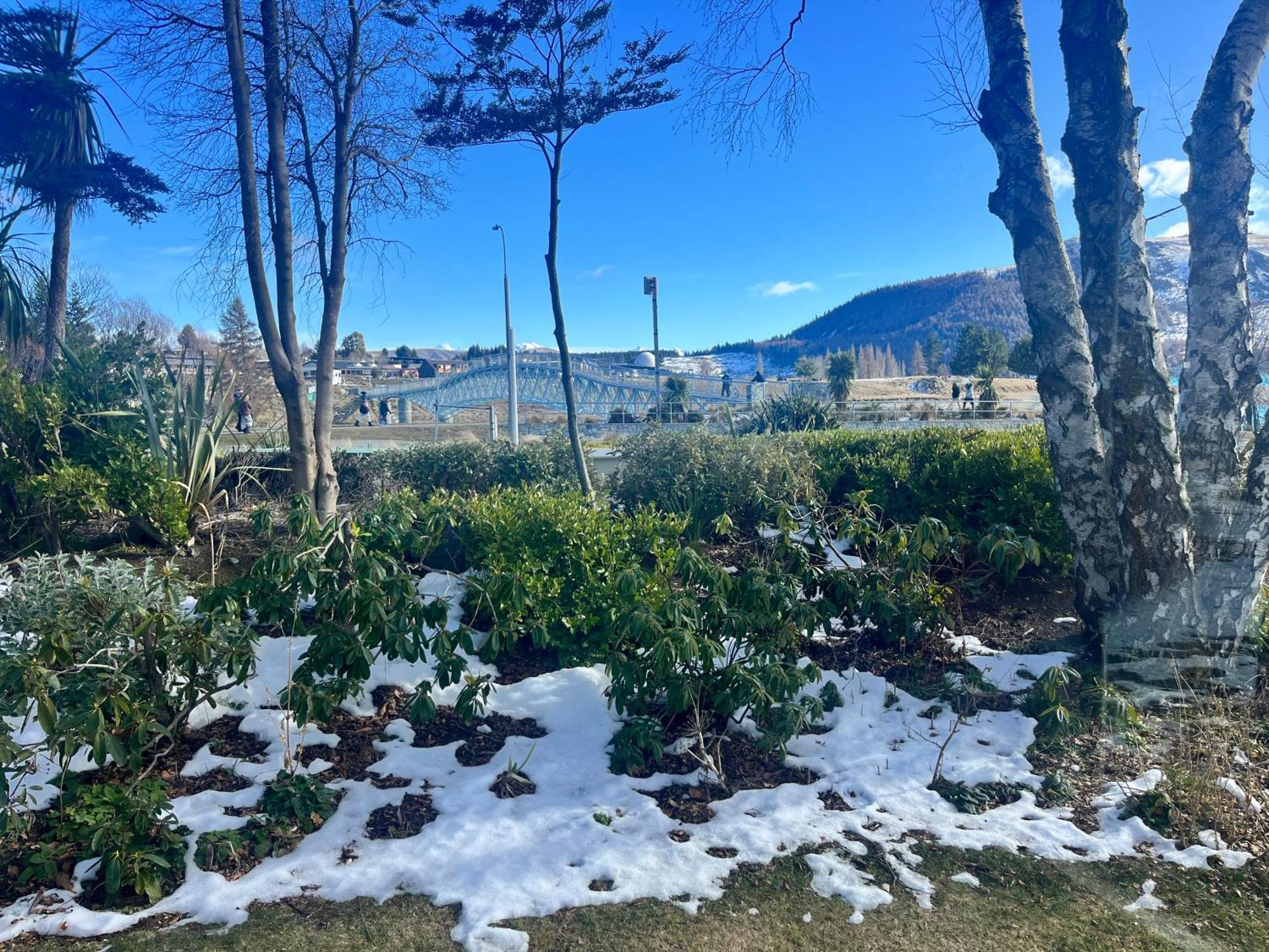 Garden - Tekapo Holiday home *